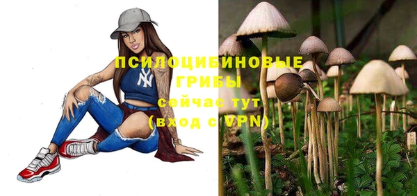 гашиш Няндома
