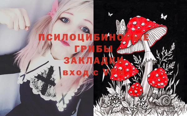 ALPHA PVP Нязепетровск